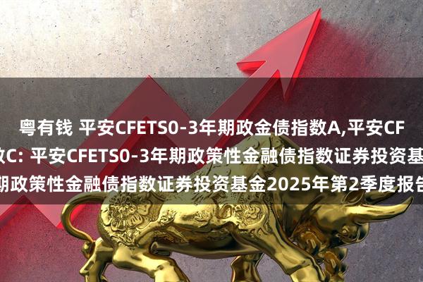 粤有钱 平安CFETS0-3年期政金债指数A,平安CFETS0-3年期政金债指数C: 平安CFETS0-3年期政策性金融债指数证券投资基金2025年第2季度报告